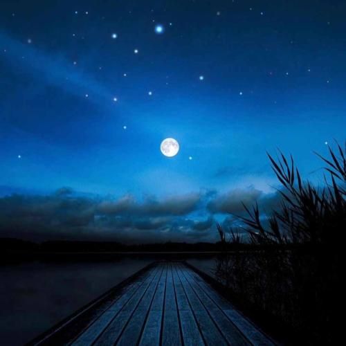 تو نیر چویلمی نفست نفسمو تنگ میکنه ستارهی شویلمی