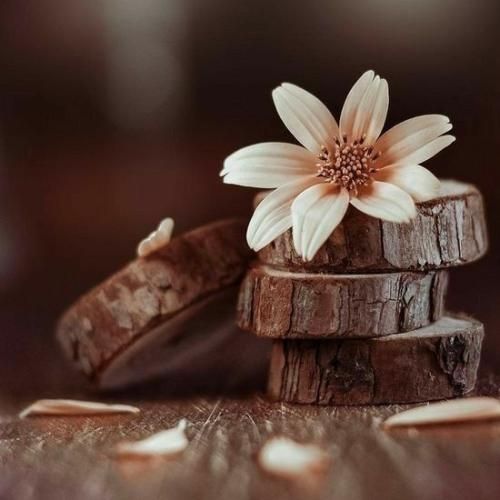  مث خورشیدی شو که به یخ ها حرارت میده میکس‌ خارجی (لیدومیکس)