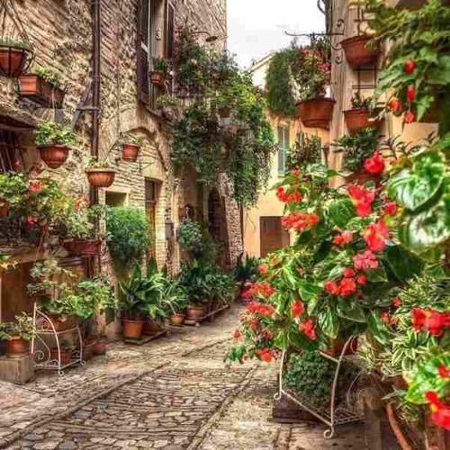  یعنی میشه بیای آروم بگیره این دل من با صدای بچه