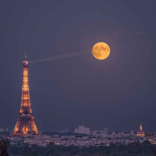  نمیچینم گلی که خار داره دلبر نمیخوام دختری ورژن گیتار