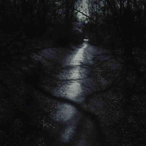  گری دون گری دون نه اولور گری دون با صدای دختر