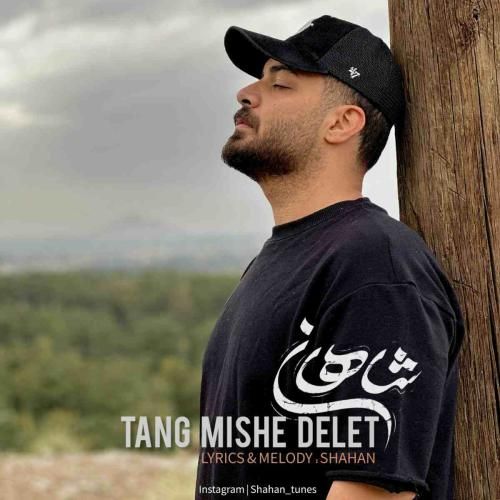 شاهان تنگ میشه دلت