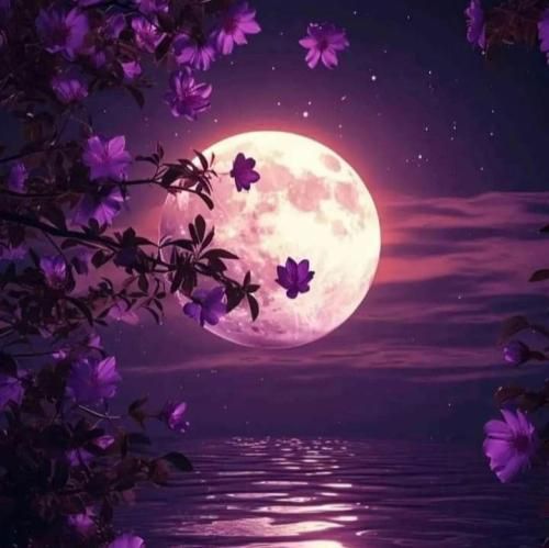 بی ال اچ ریمیکس  افسانه