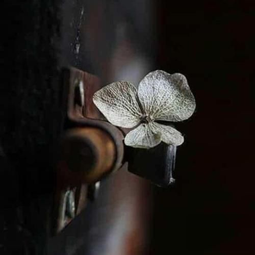 تو اون دل دیوونت جای منه منم عاشقت میشم جای همه با صدای زن