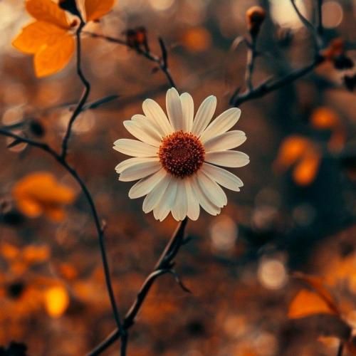 تازه فهمیدم تو کی هستی که اینجوری به دل نشستی هوش مصنوعی