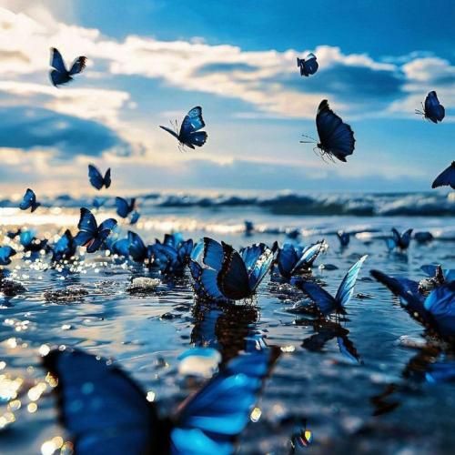  یادت نره یه موقع برا من زنده بودی بهت زنگ میزدم میگفتم بیبی کوشی