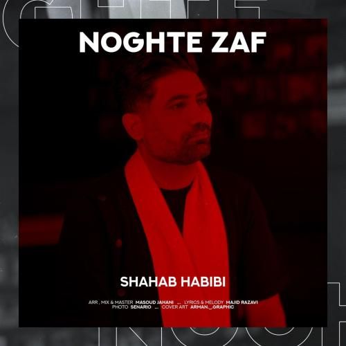 شهاب حبیبی نقطه ضعف