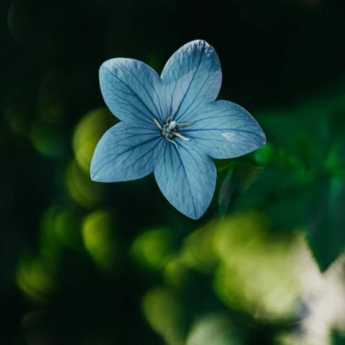  تا میخوای یه جا بری هی میگه کجا میری فیفی ترند اینستایی