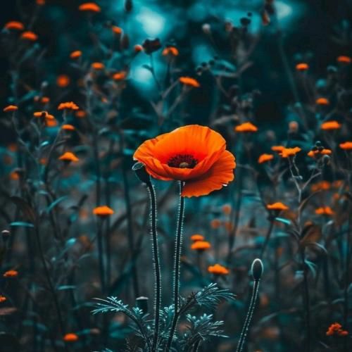  ای جان ای جان از کجای کیهان اومدی