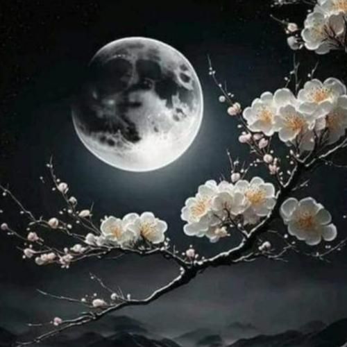  وقتی جاده برفی بود دیدم از خونه دورم