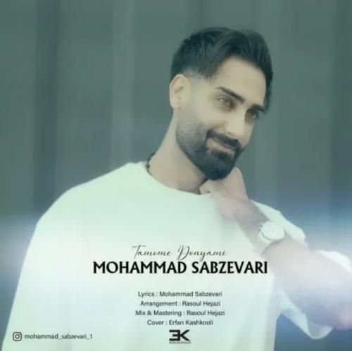 محمد سبزواری تموم دنیامی