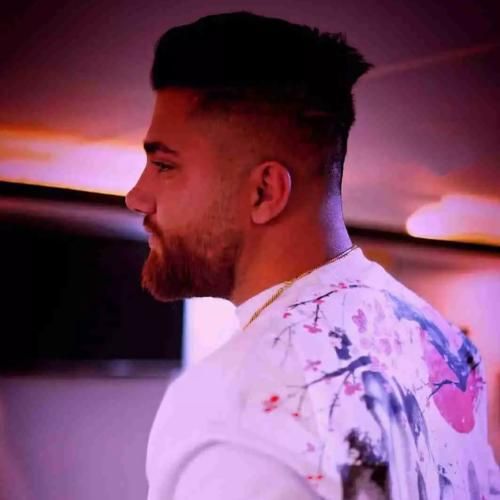 حامد سنجابی کلافه