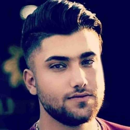 حامد سنجابی ﺑﺸﻢ ﻣﻴﮕﻦ ﺷﻬﺮﺳﺘﺎﻧﻰ ﻳﺎرو اﻟﻜﻠﻴﻪ رواﻧﻰ