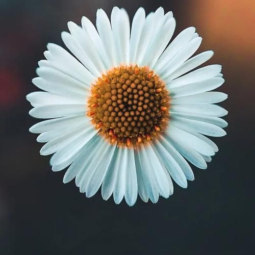  از تو نمیگذرم میره ساعتا از خودم میزنم