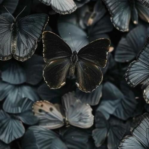  من پریدم بره از یادم چیو از دست دادم با صدای دختر