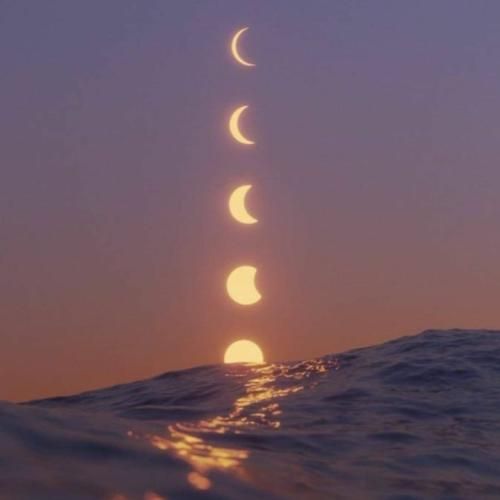  نیلوفر لجبازو یه دنده اینو صد بارم میگم بت