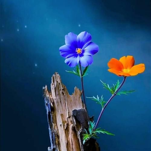  تو باد باشو منو ببر یه جا از اینجا تازه تر با صدای دختر