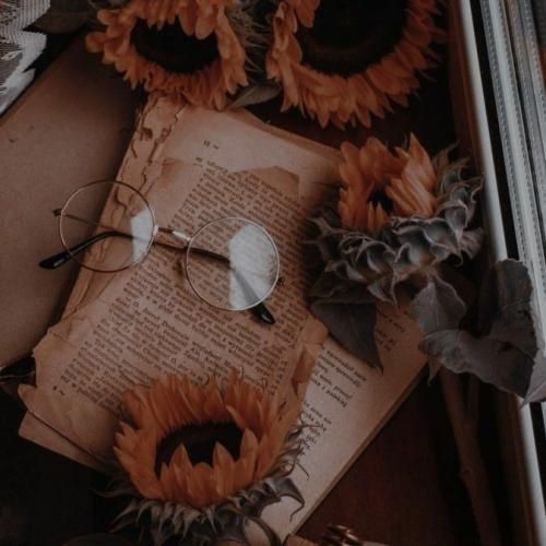  ولا ولا ولا من اینجام اگر سرد اگر بی پناهی با صدای دختر اینستایی