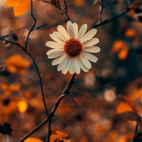  مامان میگه درس بخون با دوستان ناموسا با دوستام درس نمیشه خوند