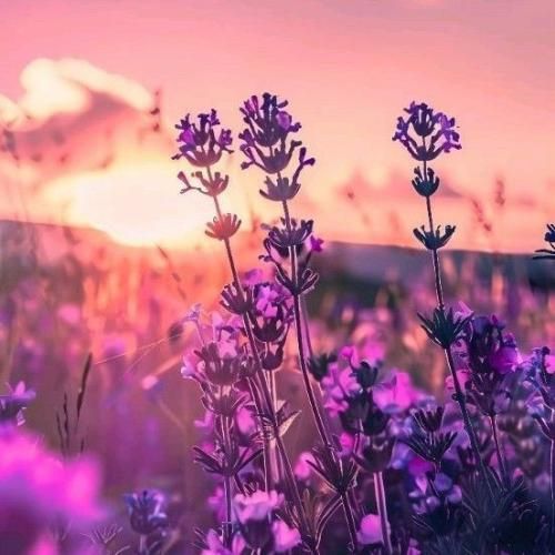  ریختمشون دور رفیقای دغلو همه لب دهنو