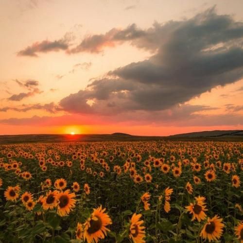 لعنت به روزی که دل به تو دادم مقصر منه سادم