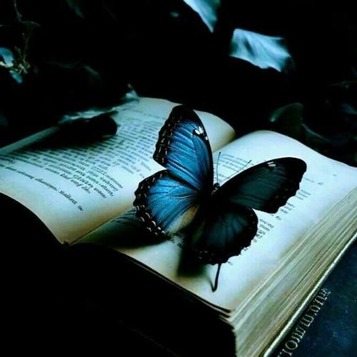  دلداده ی توام رویای هر شبی عاشق نمیشدم با صدای زن _ هوش مصنوعی