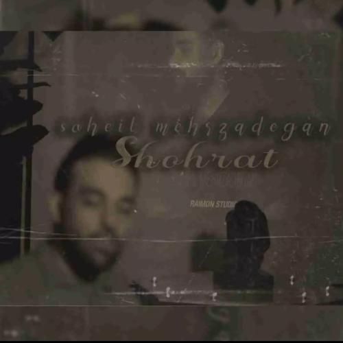 سهیل مهرزادگان شهرت