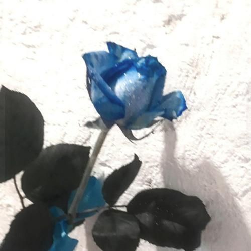  پیش اون از قلبت نگو چون بشنوم جایی دیوونه میشم