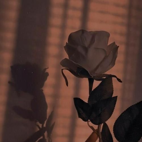  ترکی هلیکوپتر هلیکوپتر ترند اینستایی