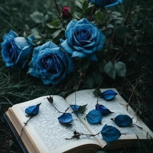 تریاک آهنگ سیخ و سنگ ترند اینستایی