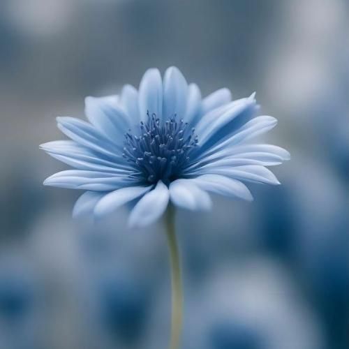 فاطمه‌ اعطایی بیا برگرد