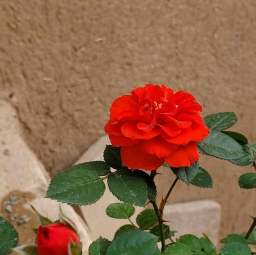 انگار به ما نیومده که خوشی کنیم یه روزم هوش مصنوعی