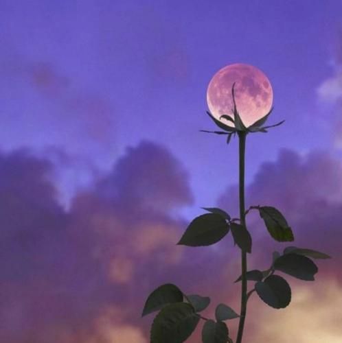 چی اومد سر من که قول داده بودم دیگه برنگردم با صدای دختر اینستایی