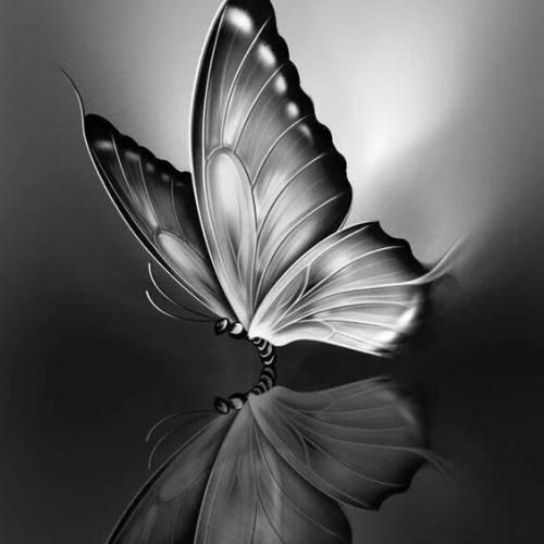  چیه میخوای برگردم نه خر نمیشم مثل قبل شرمندم