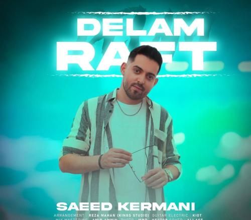 سعید کرمانی دلم رفت