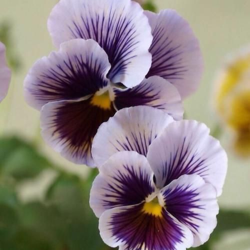 بمونی برام نمیشه از فکرت درام هوش مصنوعی