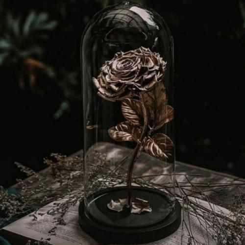 سیمگه اونوموز یاز