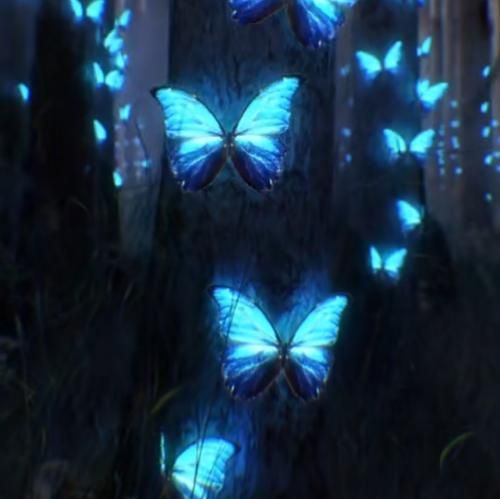 رضا خسته دل