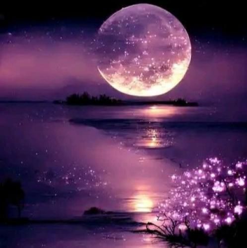 ناتکوینو نیستم همسترو آره به امید لیستم