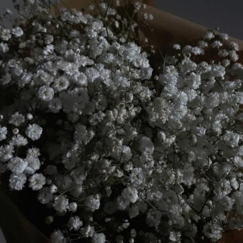 دارم میرم از این شهر یواش یواش توام بزار برو