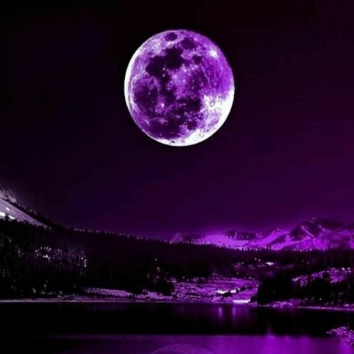 کم حرفم ولی پر میخورن باهام باحالا سریع بر