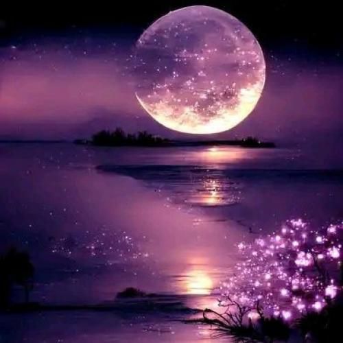  انقد گذاشتی صفحه پشت سرم که همه رفیقاتم یه سر بهم زدن