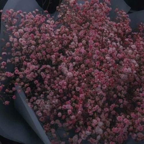 بغلم کن که من از دنیا بریدم عشقو آرامشو با صدای دختر اینستایی