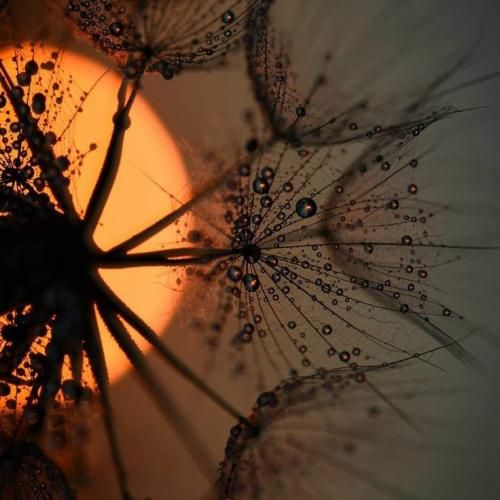 تکست میده میگه ایزیه ولی میبینمش پیش فیزیه