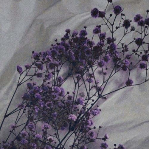 فاطمه عطایی جان باجی