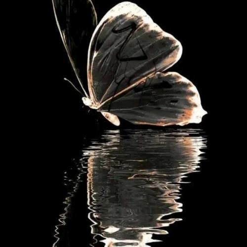 من دارم بهار بهار میبازم به روزگار دلمو ورق ورق با صدای دختر