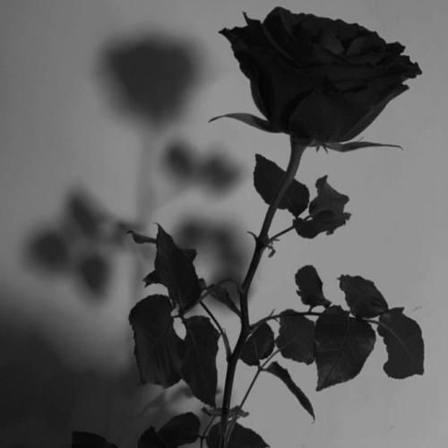 اگه همه شبیه همن تو خاص بمون کج نمیشه با تو راه راستمون