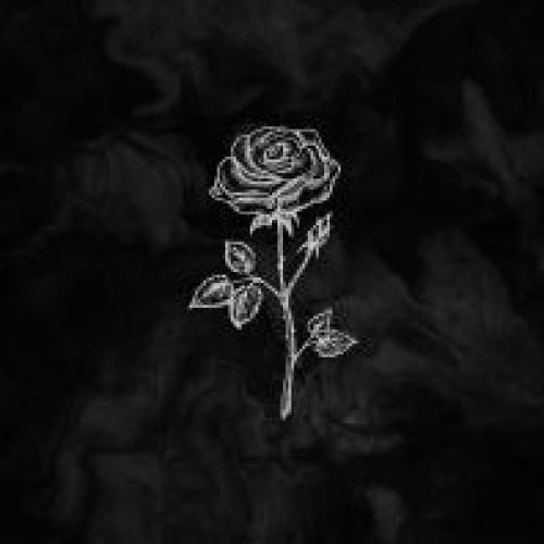 بگو الان بمیر میمیرم از ابر بهار گلاب می گیرم