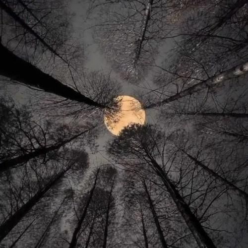  چته رفیق عاشق من چرا سراغ اون که رفته رو داری بازم میگیری باصدای دختر