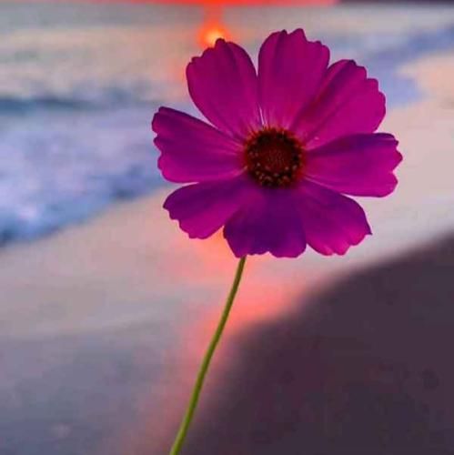 رپ فارسی دیگه شده دوساید عده ای بالغ و الباقی نوزاد با صدای دختر اینستایی